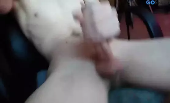 Handjob with Cum Shot in Front of the Cam